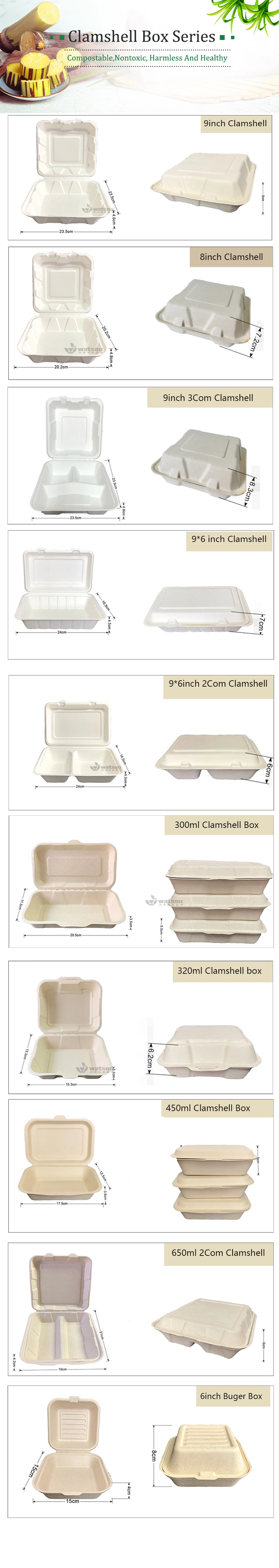 Paper Pulp Sugarcane Bagasse Biodegradable Disposable Fast Food Packaging